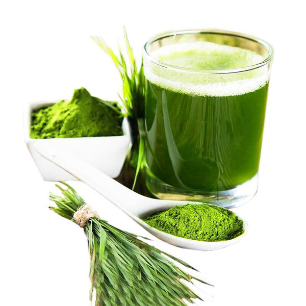 HelloYoungTea 250g Organic Wheat Grass Powder Wheatgrass Powder for Immunity Support