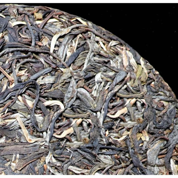 HelloYoungTea Yunnan Mengku Xigui 2021 Premium Ancient Big Tree Pu-erh Raw Cake 357g