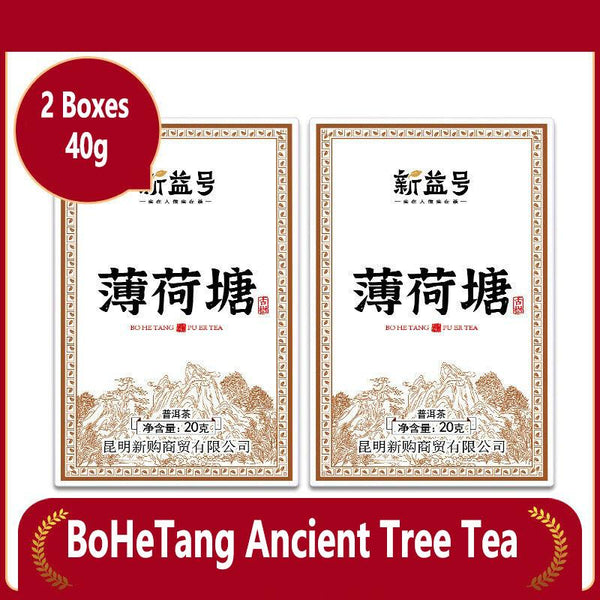HelloYoungTea Xinyihao Yiwu Mintang Pu'er Raw Tea: Yunnan Ancient Tree Loose Tea for Daily Delight