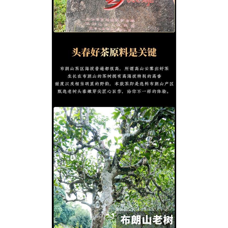 HelloYoungTea 357g Yunnan Collection Pu'er Tea Brown Old Tree Ripe Tea Cake Tea Cake
