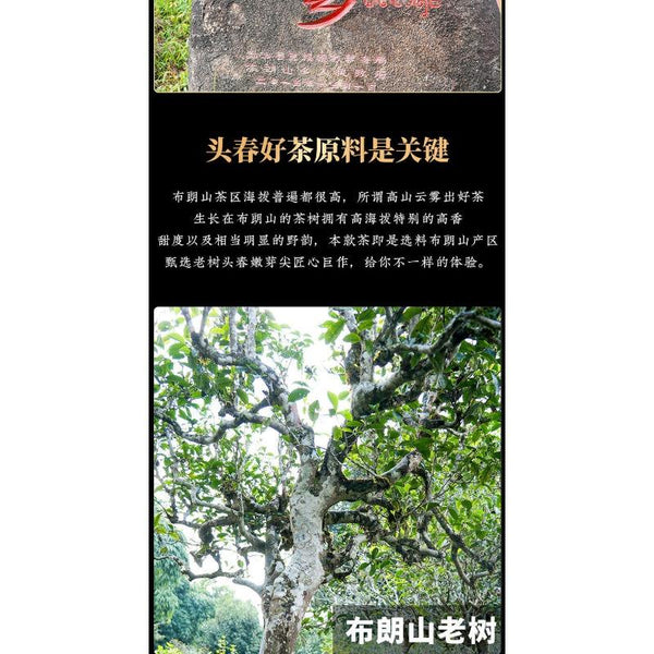 HelloYoungTea 357g Yunnan Collection Pu'er Tea Brown Old Tree Ripe Tea Cake Tea Cake