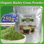 HelloYoung Barley Grass Powder Original 100% Pure And Organic Green Tea Barley Grass Powdered Drink Chlorophyll & Trace Minerals No Maltodextrin & Sugar