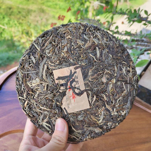 HelloYoungTea 357g Ming Qian Ancient Tree Spring Tea Pu'er Raw Tea Seven Seed Cake Tea