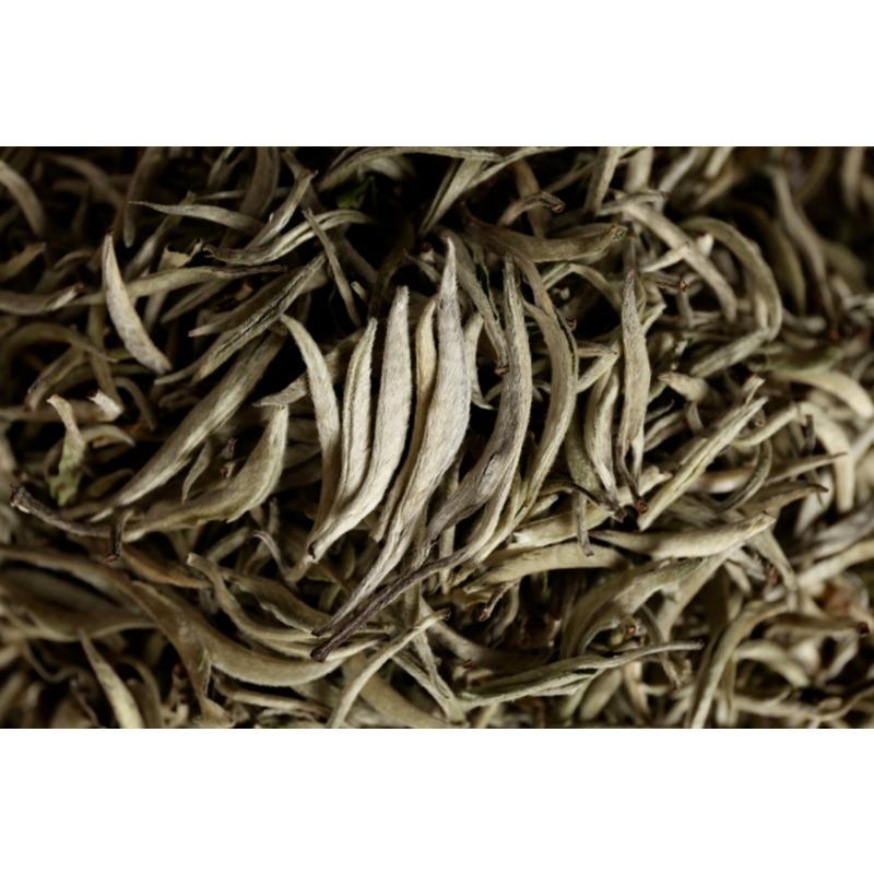Pu'er raw tea white hair silver needle white hair single bud moonlight white tea