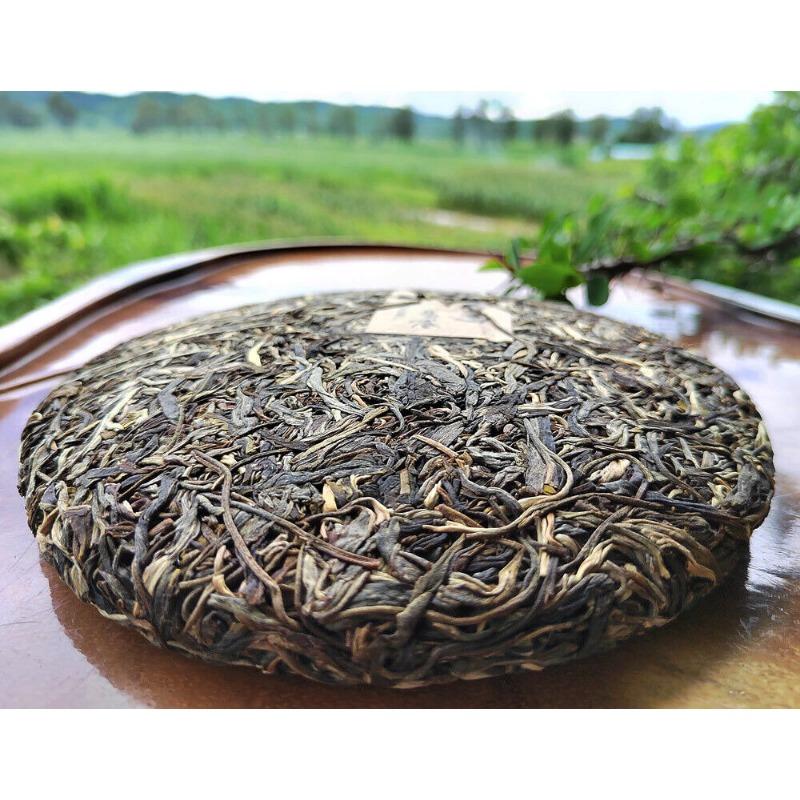 357G Yiwu Pu'er Tea Raw Tea Bent Bow Ancient Tree Tea Yunnan Tea Seven Cakes