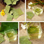 HelloYoungTea Traditional Tea Lotus Leaf Green Tea Herbal Tea