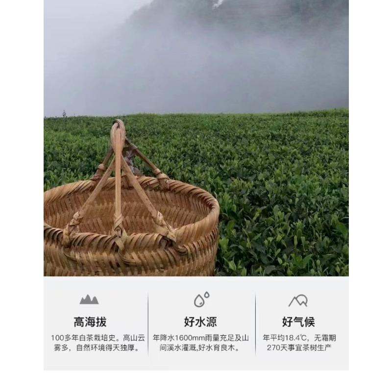 350g Fuding High Mountain White Tea Aged Day Sun Old Tea Cake Gongmei Shoumei