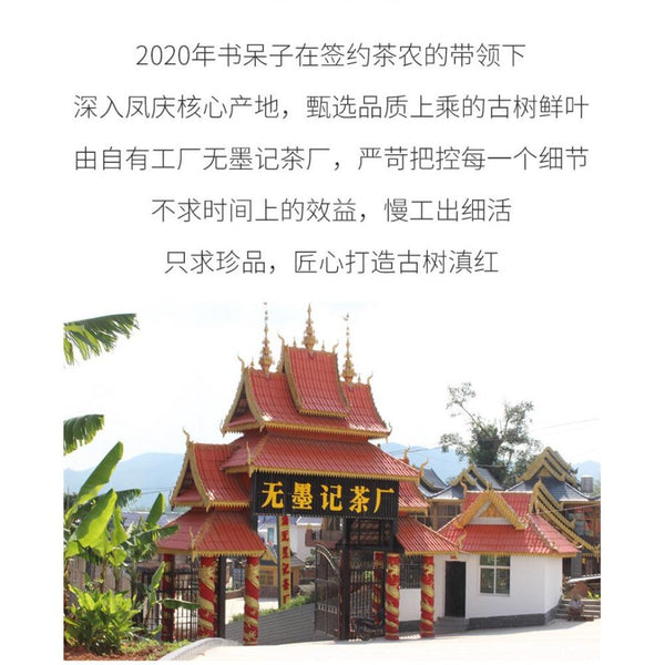 HelloYoungTea 250g Yunnan Dian Hong Black Tea Ancient Tree Tea Brick