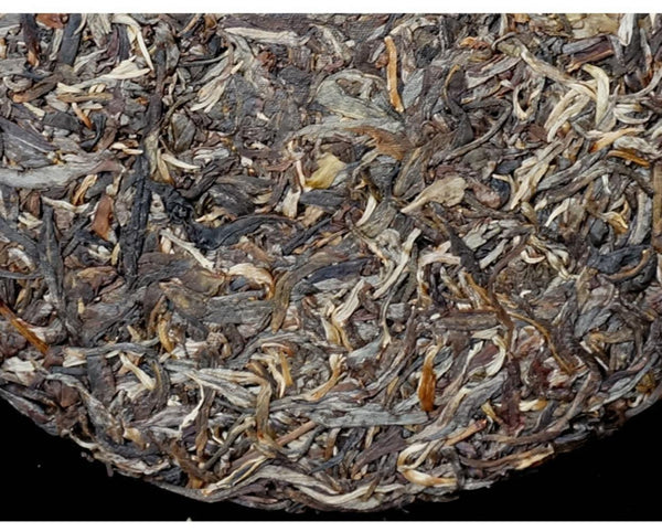 HelloYoungTea Yunnan Yiwu Guafengzhai 2021 Premium Ancient Tree Raw Pu-erh Gong Tea Cake 357g