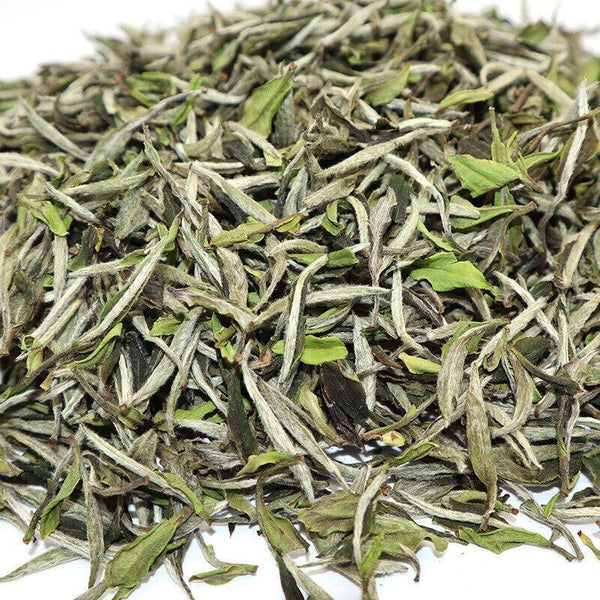 HelloYoungTea 500g Fuding White Tea White Peony King Loose Tea Panxi Ming Qian Tea