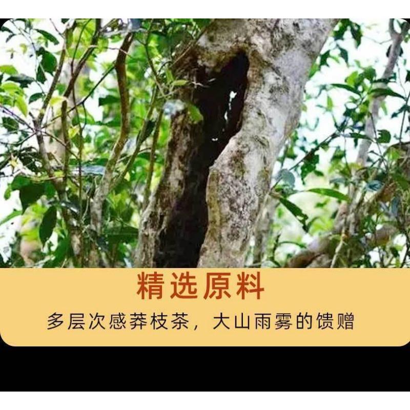 HelloYoungTea 357g Yunnan Tea Pu'er Raw Tea Savage Ancient Tree Pu'er Tea Pu'er Tea Cake