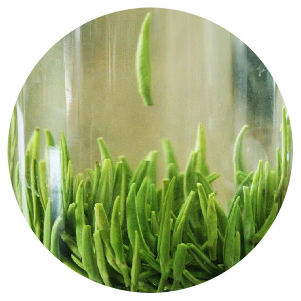 HELLOYOUNG 100g Supreme Emei High Mount. Zhuyeqing Spring Bamboo GREEN TEA