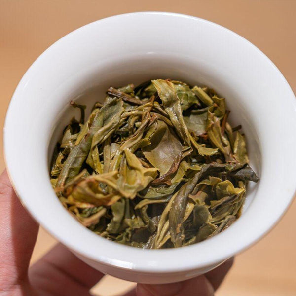 HelloYoungTea 357g Brown Mountain Ancient Tree Seven Seed Yunnan Raw Pu'er Tea Cake 357克布朗山古树七子饼云南生普洱饼茶
