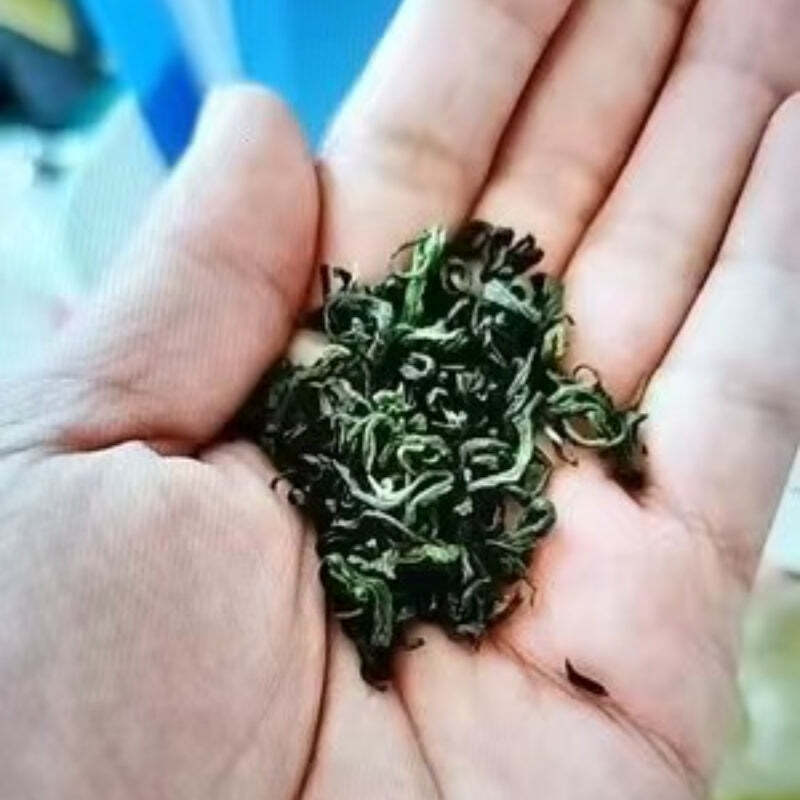 HelloYoungTea 250g New Biluochun Green Tea Loose Leaf Chinese Green Tea Bag Package Green Tea