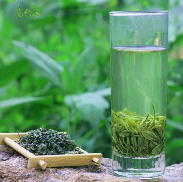 HelloYoungTea 2023 Hubei Yingshan Origin Green Tea, Wushan Chunyin Yunwu Tea with Good Taste, 100g Maojian in Sachets 2023年湖北英山原产绿茶，巫山春饮云雾茶，口感好，100克袋泡毛尖