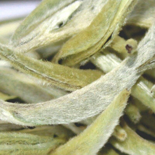 HelloYoungTea 2021 Yunnan Spring Moonlight White Tea, Ancient Tree Big Bud, Silver Needle Chinese White Tea (Available in 50g/150g/250g)