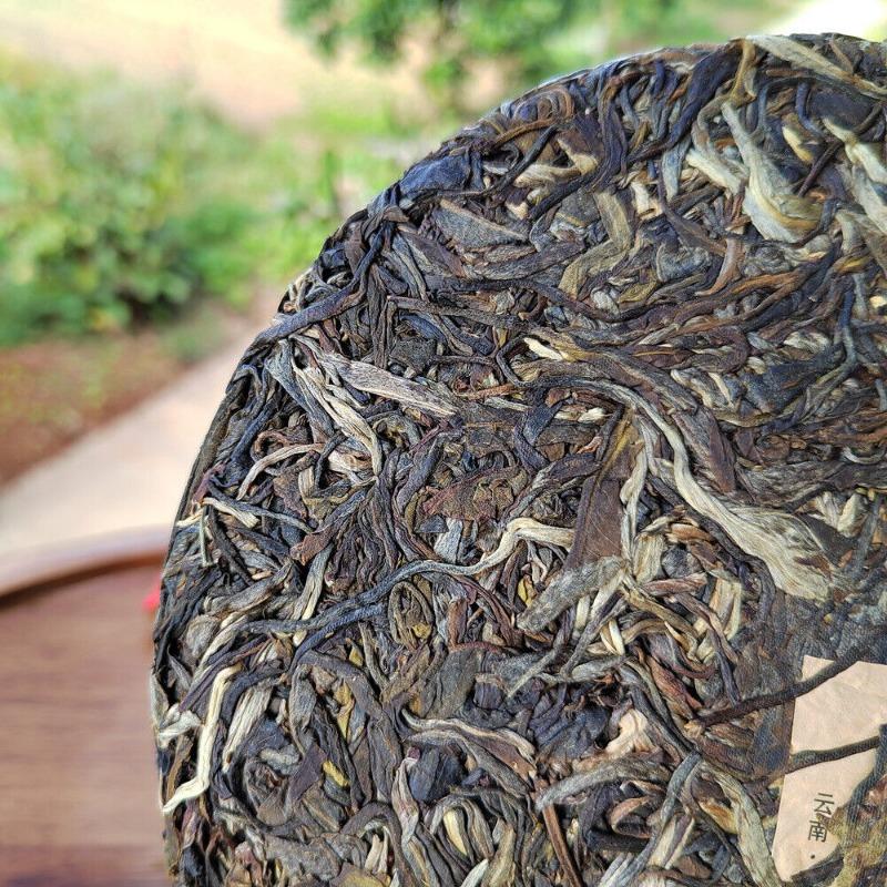 Scraping Walled Pu'er Tea Cake Yiwu Ancient Tree Raw Tea First Spring Yunnan Tea