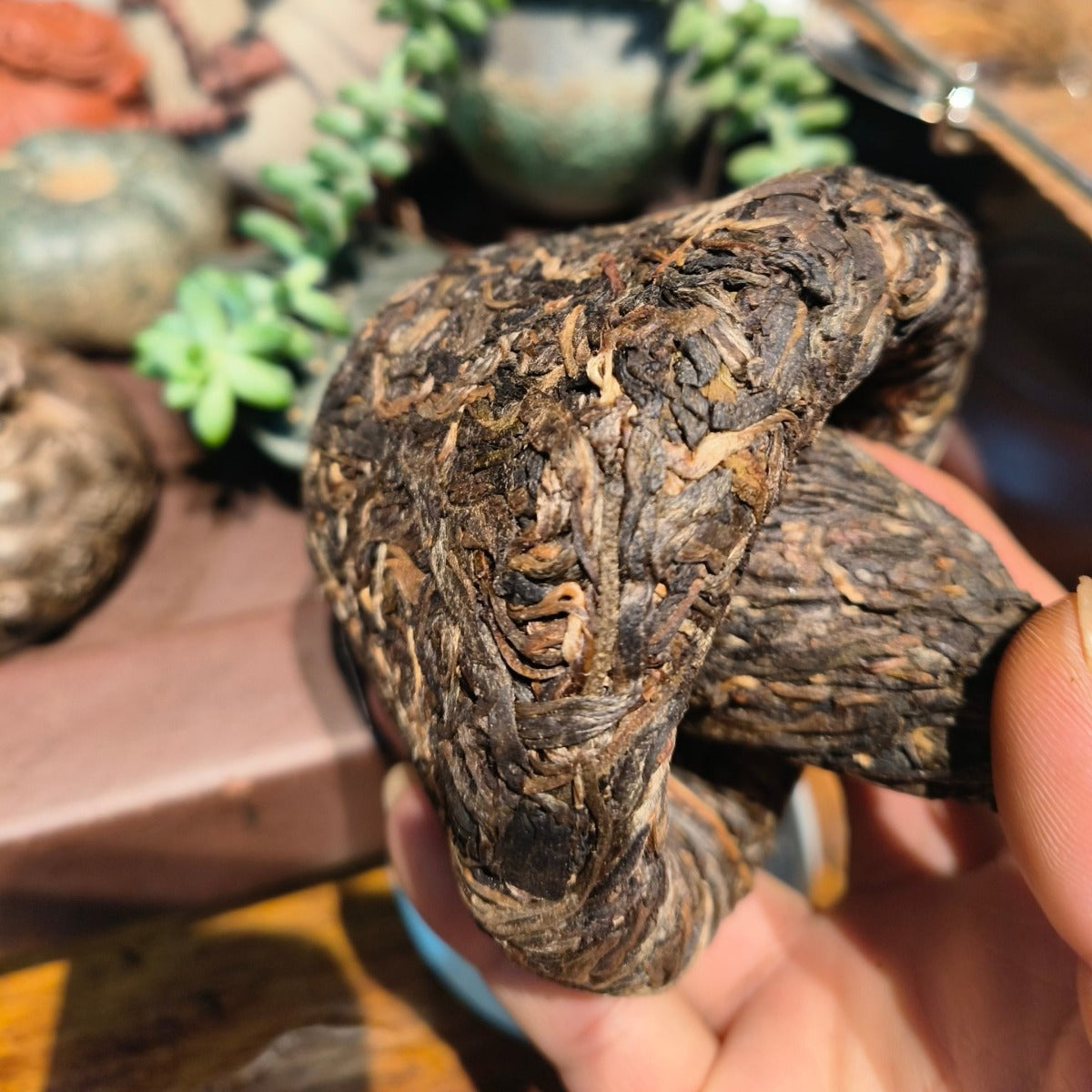 HelloYoung TuLin Phoenix Yunnan Tuocha Tea Top-grade "Ji Xiang" Mushroom Tuocha Puerh 250g