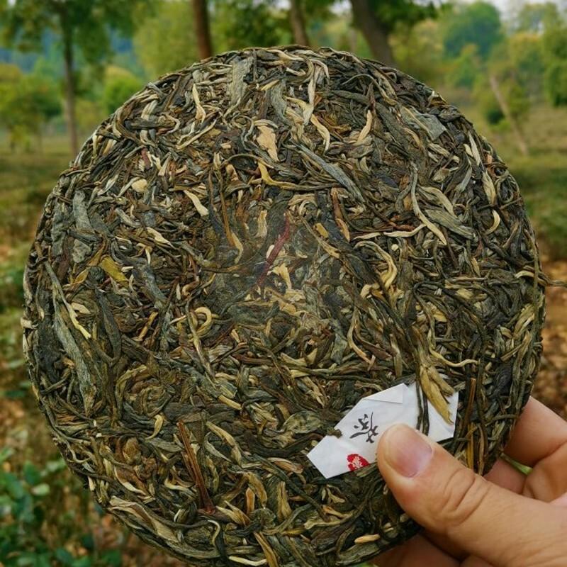 HelloYoungTea Pu'er Tea Cake 357g Yunnan Mengku Spring Green Tea