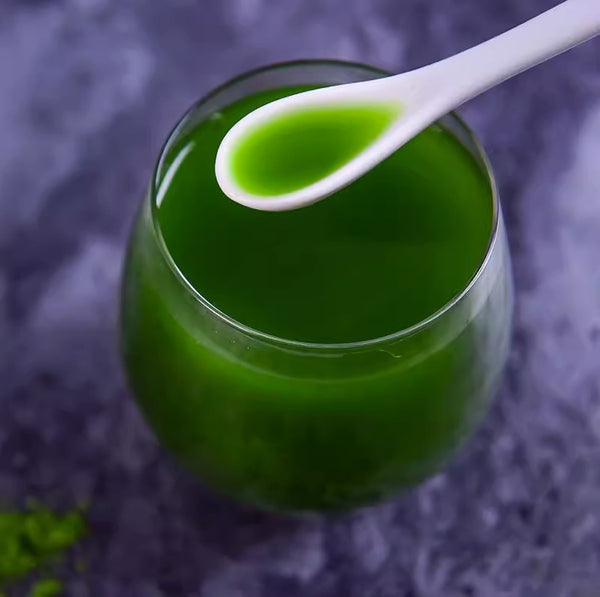 HelloYoung Unsweetened Premium Organic Barley Grass Powder 250g Pure&Natural I Nutritionally Complete I Mix into Smoothie or Juice