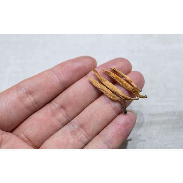 HelloYoungTea 500G Yunnan Black Tea Mini Gold Needle Fengqing Dian Hong Tea Small Gold Needle