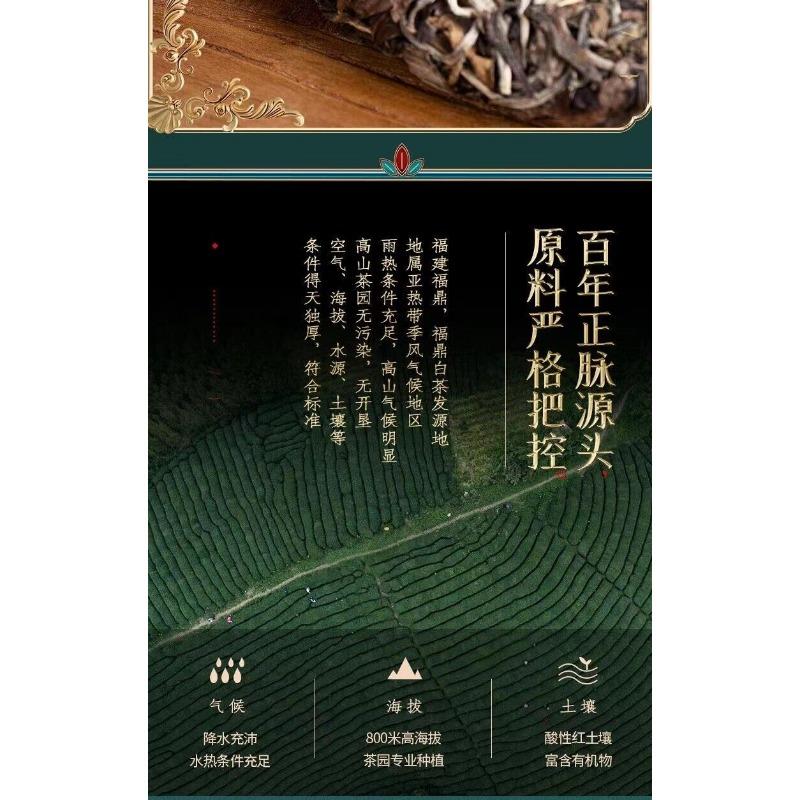 300g Fuding White Tea Old White Tea White Peony Tea Cake Aged White Peony Cake