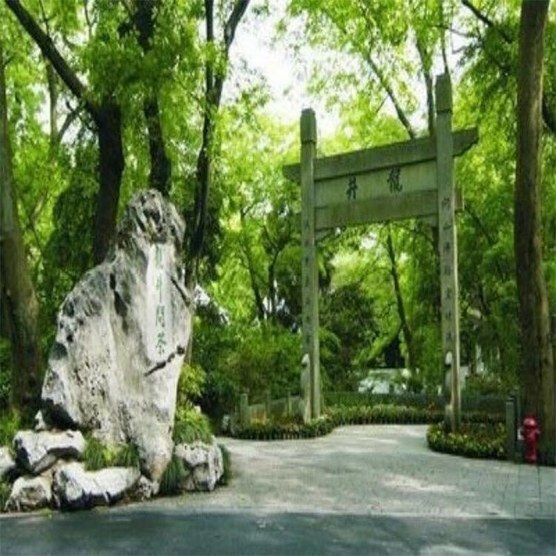 HelloYoungTea 250g Famous Good Quality Dragon Well China Spring Longjing Green Tea for Health