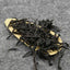 HelloYoungTea 2023 Wuyi Rujiao Da Hong Pao Rock Oolong Tea