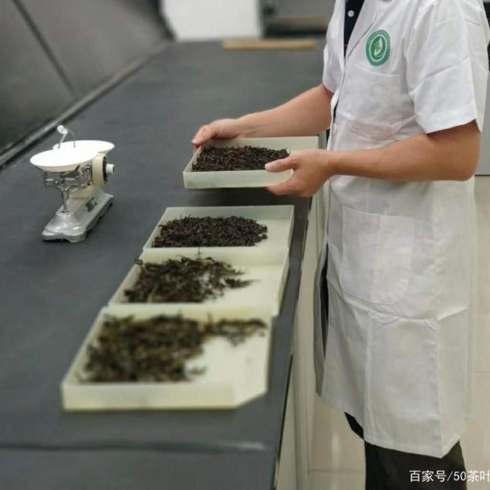 HelloYoungTea 2012 Tulin Phoenix The King Of Tuocha Shu Puer Ancient Tree Ripe Puerh Tea 250g