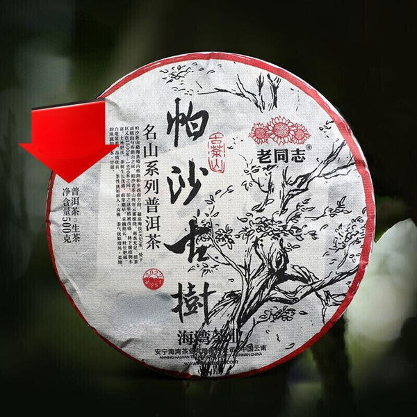 HelloYoungTea Haiwan Pa Sha Ancient Tree Puer Tea Aged Tree Sheng Puerh Tea 500g