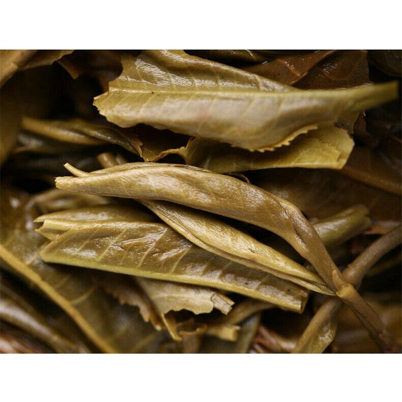 HelloYoungTea Haiwan High Mountain Ancient Tree 2019 Old Comrade Batch 191 Raw Puer Tea 500g
