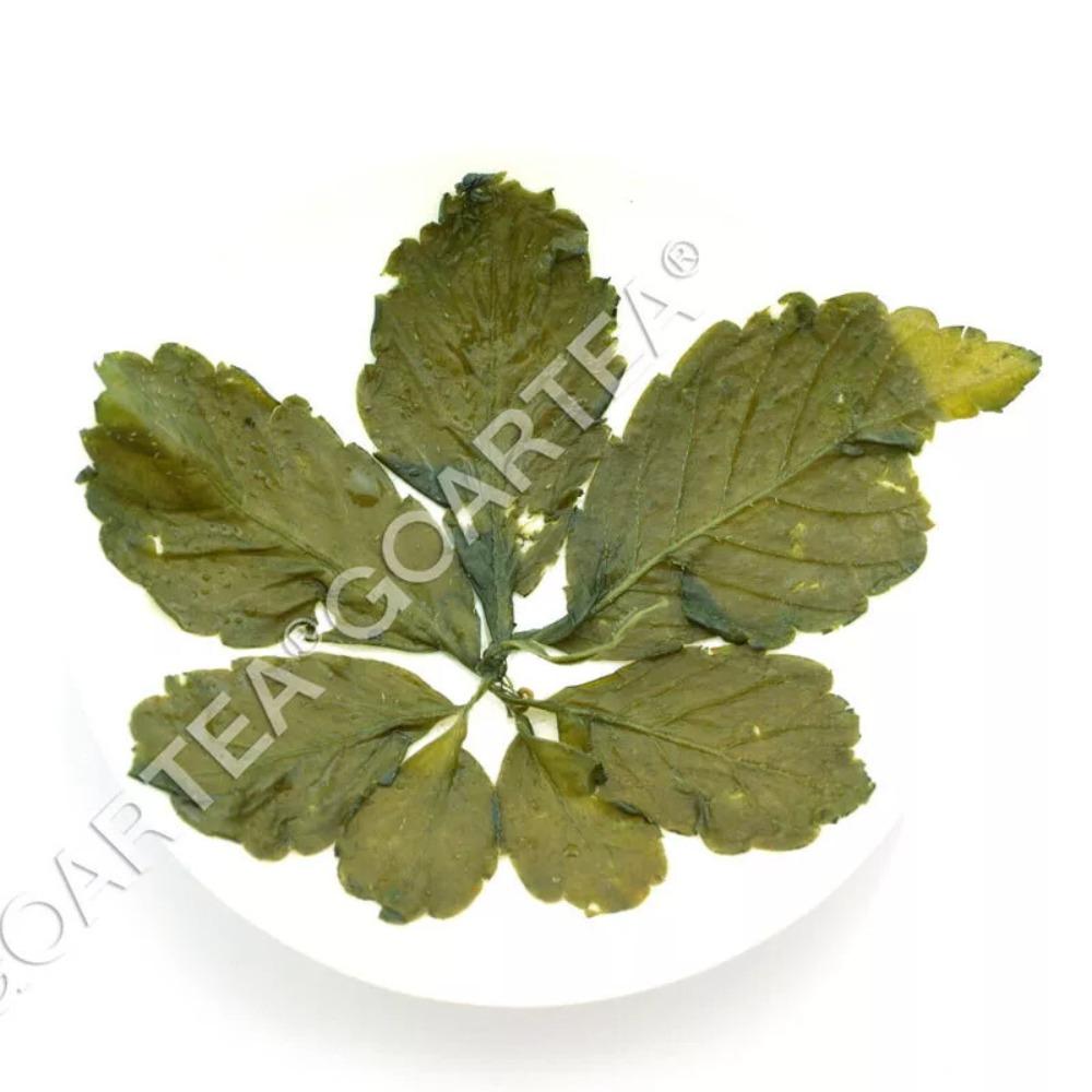 250g Premium Silver Needle White Tea Bai hao Yin zhen Chinese Tips Loose 250克优质白毫银针白茶 中国芽尖 散茶