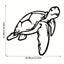 CIFbuy™ Premium 1pc One-of-a-Kind Iron Ocean-Inspired Sea Turtle Wall Art - Intricate Geometric Cut-Out Design, Perfect for Bedroom Adornment & Exceptional Christmas Gift - High-Quality Artistic Wall Sculptures.