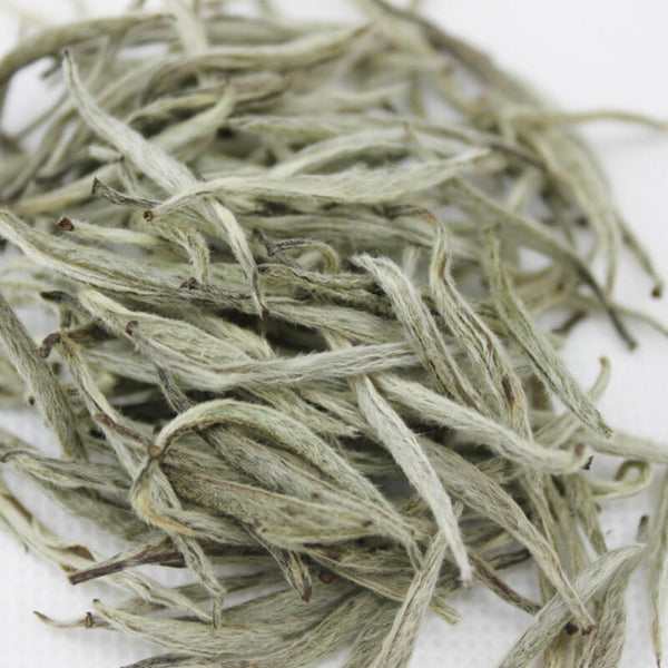 HelloYoungTea Premium Organic Silver Needle White Tea FuDing Bai Hao Yin Zhen Tea 75g Tin