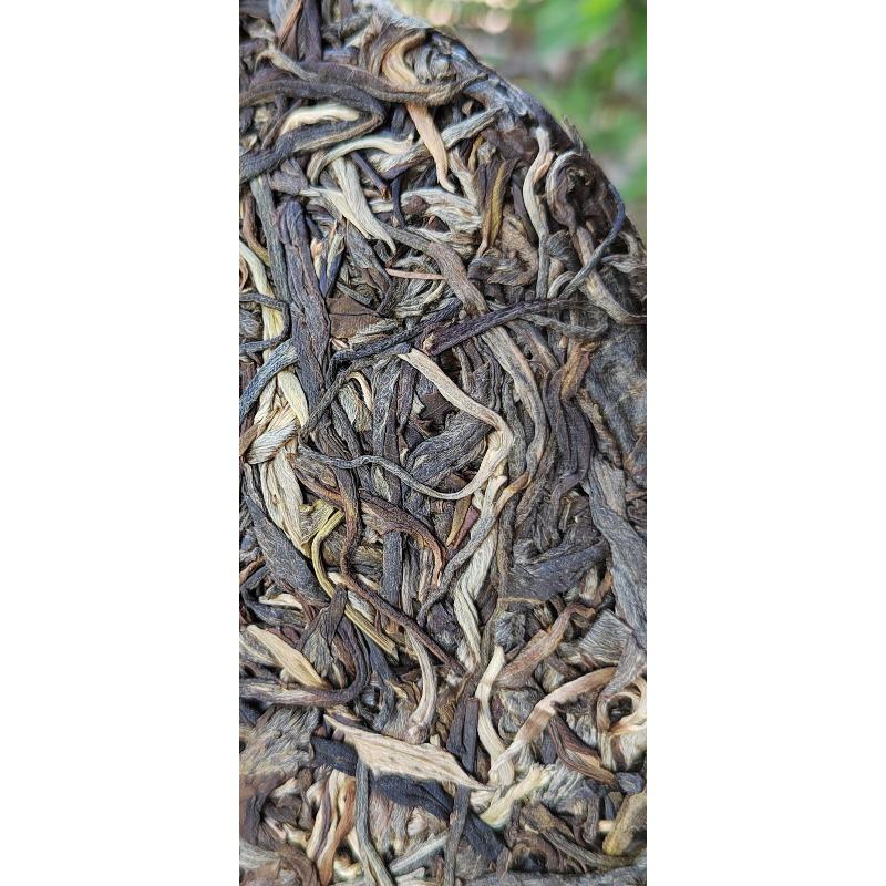 357g Ming Qian Ancient Tree Spring Tea Pu'er Raw Tea Seven Seed Cake Tea