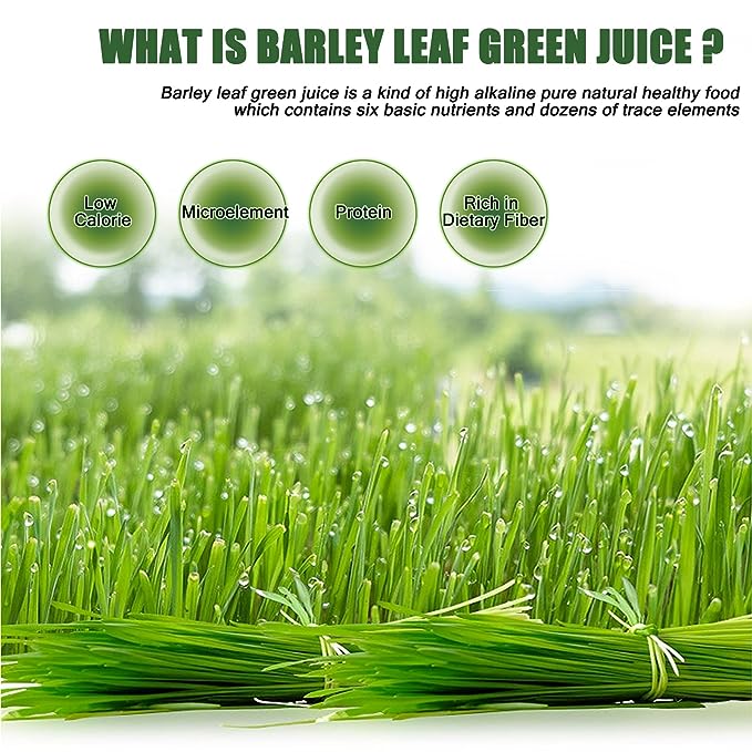 HelloYoung HelloYoung Imported Unsweetened Premium Organic Barley Grass Antioxidant-Rich, Energy Booster Organic Grass Powder