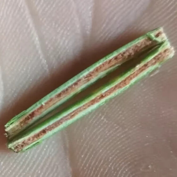 HelloYoung Mahuang Natural Ephedra Sinica Tea Mo huang Good Tea Natural Organic Flower tea 500g