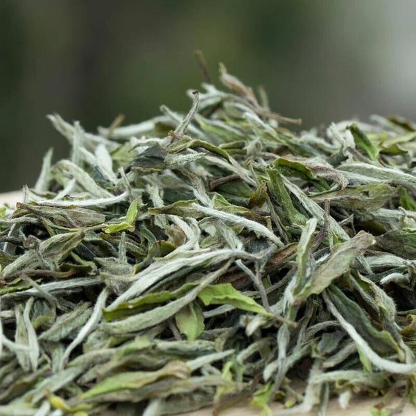 1000g FuDing High Mountain Bai Mu Dan White Tea Aged White Peony Pai Mu Tan tea 1000克福鼎高山白牡丹白茶 陈年白牡丹（Pai Mu Tan）茶