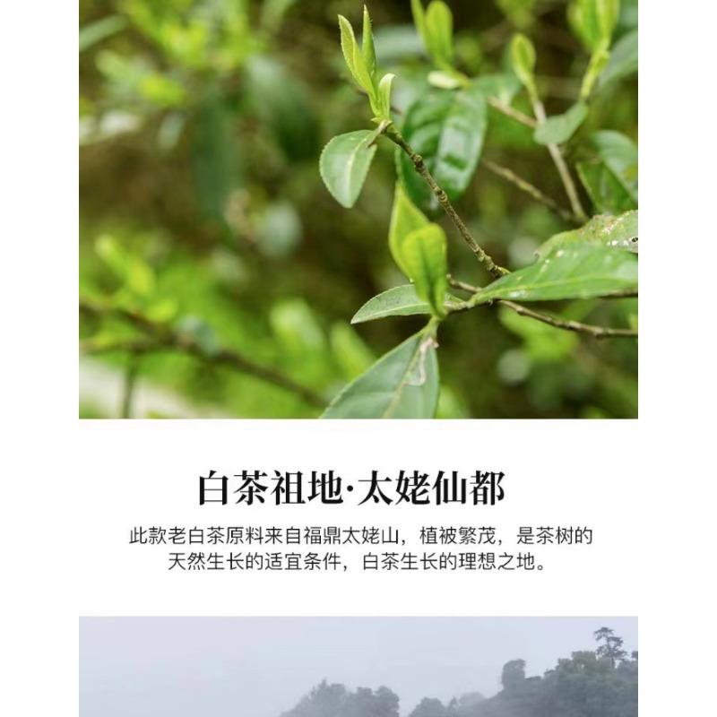 HelloYoungTea 350g Fuding High Mountain White Tea Aged Day Sun Old Tea Cake Gongmei Shoumei