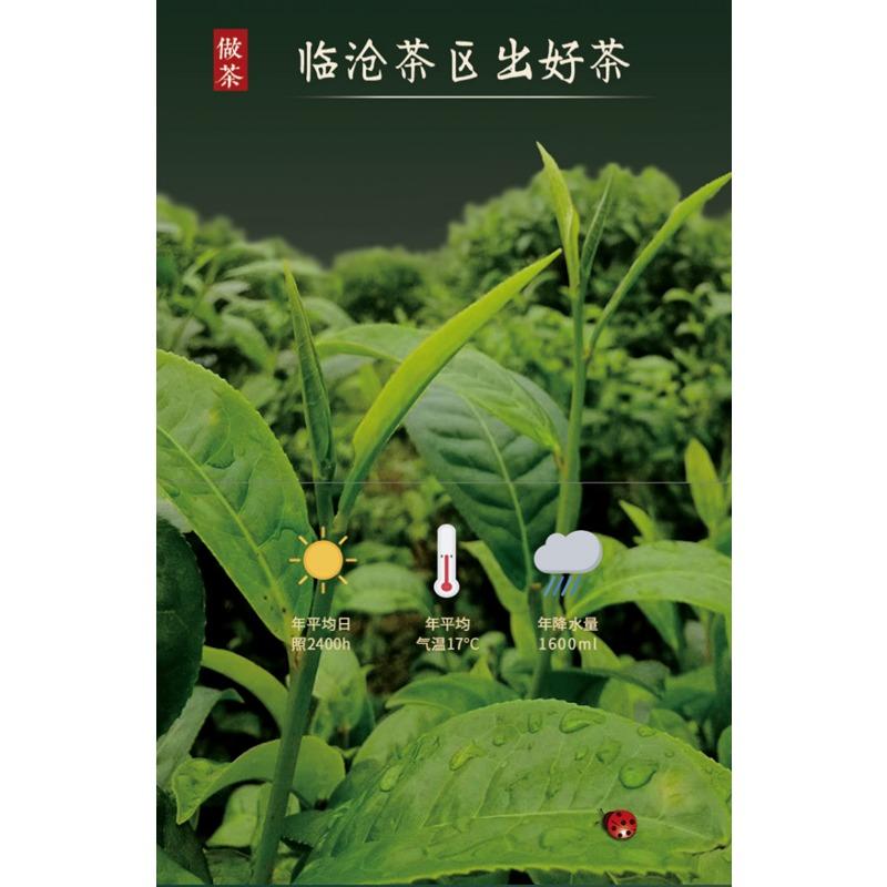HelloYoungTea 357g Yunnan Pu'er Tea Raw Tea Da Xueshan Lincang Ancient Tree Arborvitae