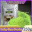 HelloYoung barley powder pure organic Organic Barley Grass Powder original 250g barley grass official store body detoxification, moistening intestines