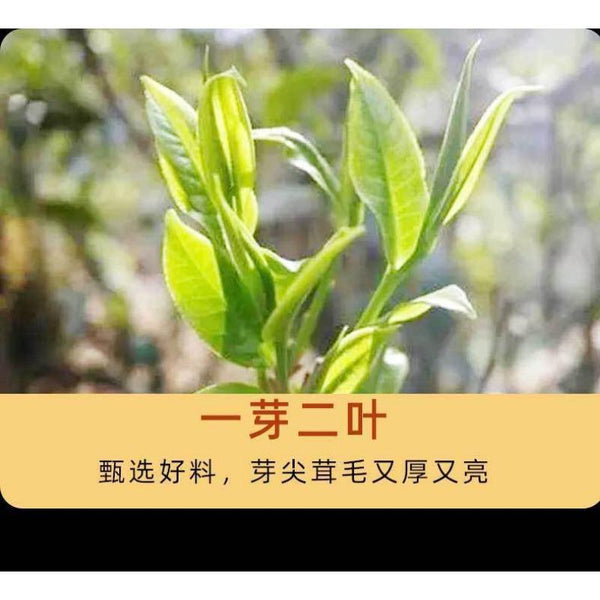 HelloYoungTea 357g Yunnan Tea Pu'er Raw Tea Savage Ancient Tree Pu'er Tea Pu'er Tea Cake
