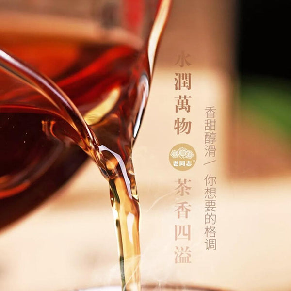 HelloYoungTea 250g Classic Pu-erh Tea Brick, Haiwan Old Tree Ripened Pu'er 1999