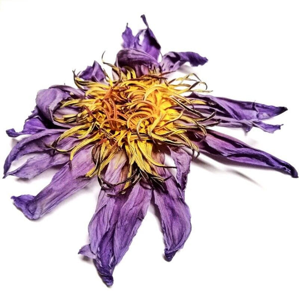 HelloYoungTea Natural Base Planting Pesticide Free Chinese Herb Dried Blue Lotus Flower