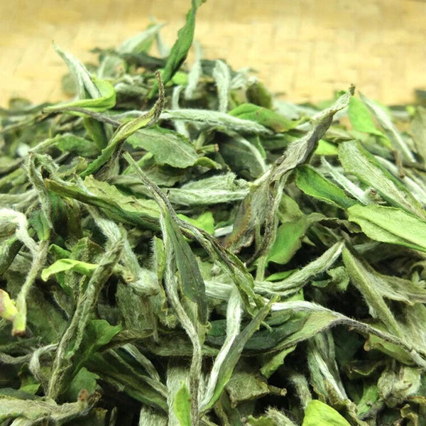 250g FuDing High Mountain Bai Mu Dan White Tea Aged White Peony Pai Mu Tan tea 250克福鼎高山白牡丹白茶 陈年白牡丹（Pai Mu Tan）茶