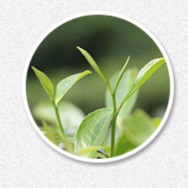 HelloYoungTea 350g 2012 Fuding White Peony Tea Cake Slimming Wellness
