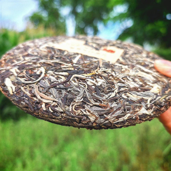 HelloYoungTea Pu'er Tea Puer Cha Tea Cake Organic Health Drink Dayi 357g Yunnan Dayi