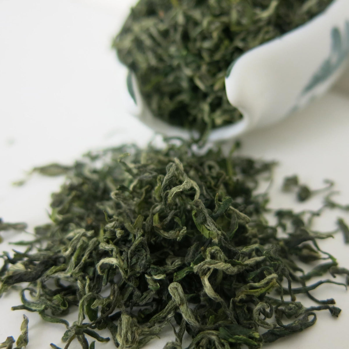HelloYoungTea 2023 Hubei New Tea, Wushan Brand Spring Green Tea with White Tips and Strong Aroma, Yingshan Yunwu Tea 2023年湖北新茶，巫山牌白毫浓香春绿茶，英山云雾茶