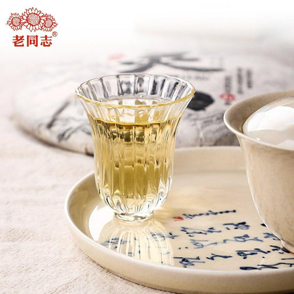 HelloYoungTea Raw Puer Tea Cake 400g Haiwan Sheng Puerh Plant Spirit