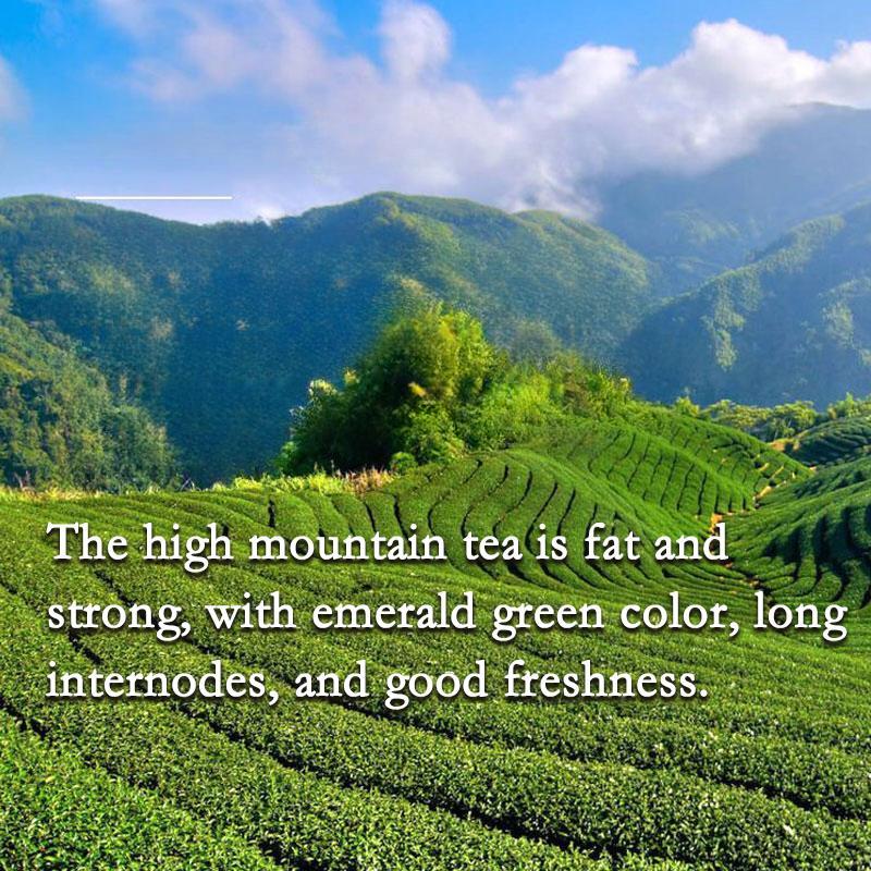 HelloYoungTea HelloYoung Jin Xuan Milk Oolong Tea - Taiwaness Oolong Tea Loose Leaf - Taiwan High Mountain Tea - Delicate and Silky Smooth - Stabilizes